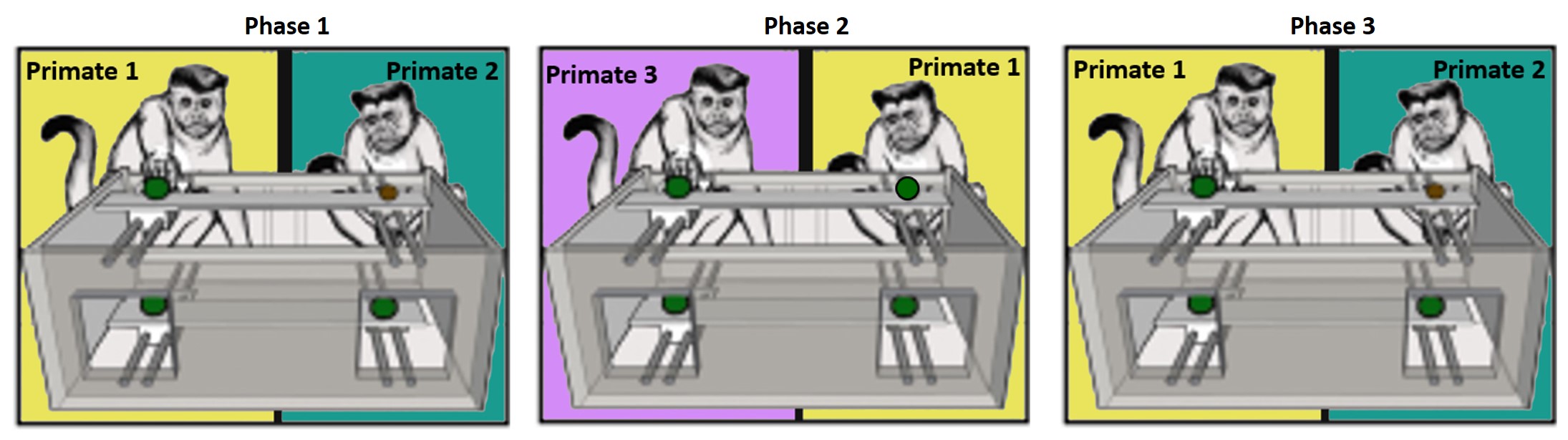 3 phases of prosocial test