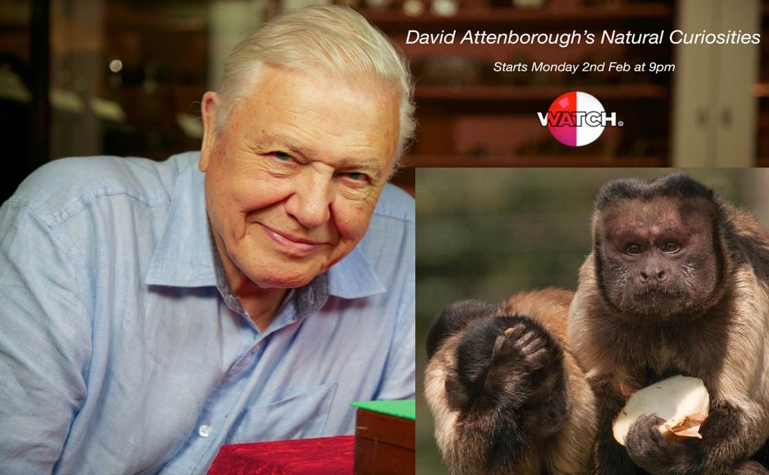 david attenborough with monkey medicine
